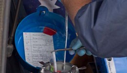 Reduce costs and increase profits by using sexed semen